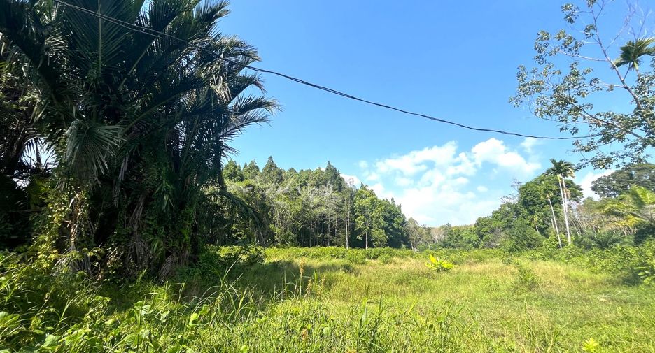 Grundstück zum Kauf in Thai Mueang, Phang Nga
