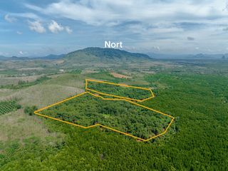 For rent and for sale land 