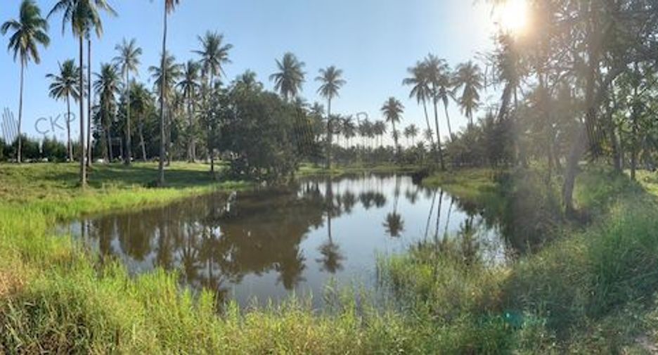 出售 土地 在 Thap Sakae, 班武里府