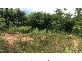 出售 土地 在 Ban Hong, Lamphun