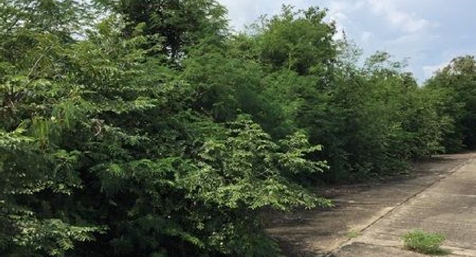 For sale land in Ban Hong, Lamphun