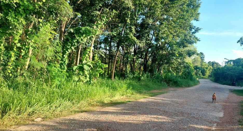 For sale land in Mueang Nongbua Lamphu, Nong Bua Lamphu