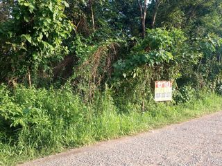 For sale land in Mueang Nongbua Lamphu, Nong Bua Lamphu