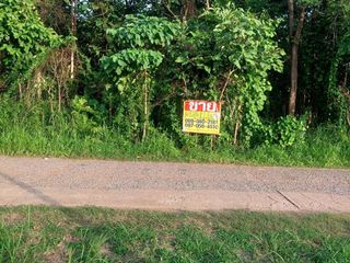 For sale land in Mueang Nongbua Lamphu, Nong Bua Lamphu