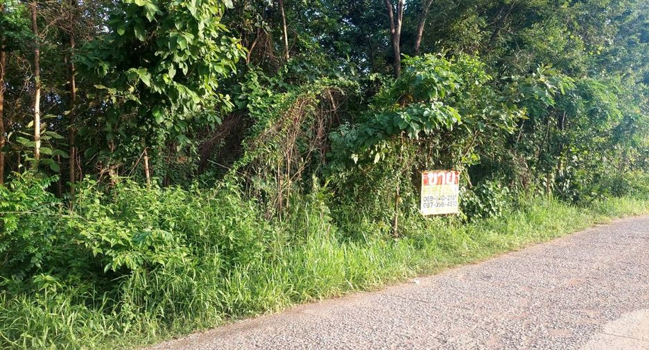 For sale land in Mueang Nongbua Lamphu, Nong Bua Lamphu