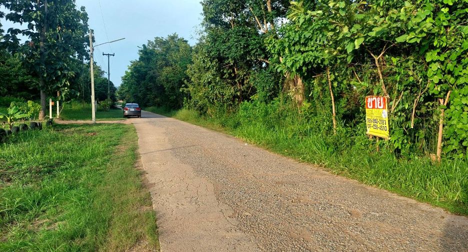 For sale land in Mueang Nongbua Lamphu, Nong Bua Lamphu