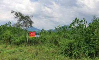 出售 土地 在 Kaeng Krachan, Phetchaburi