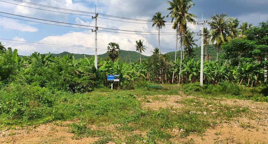 Grundstück zum Kauf in Kaeng Krachan, Phetchaburi