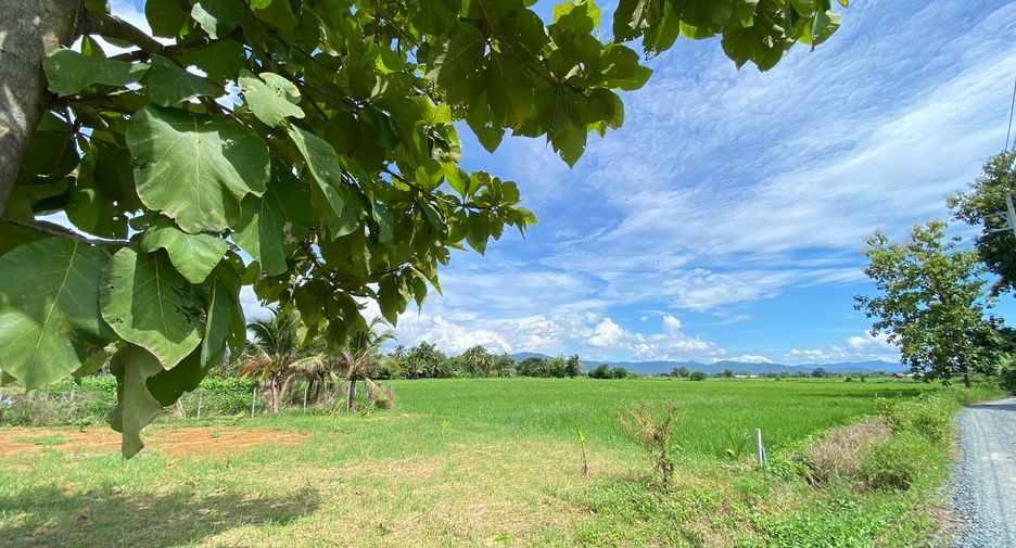 出售 土地 在 Doi Saket, Chiang Mai