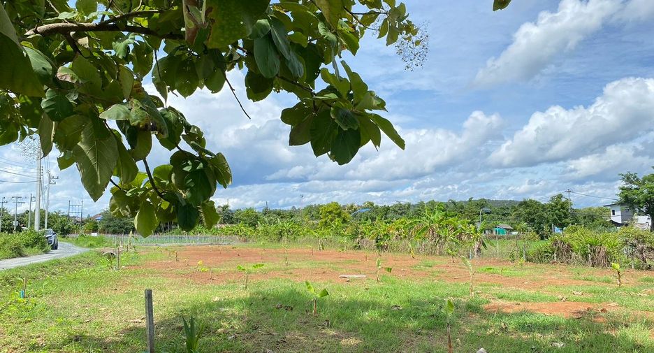 出售 土地 在 Doi Saket, Chiang Mai