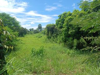For sale land in Phrom Phiram, Phitsanulok