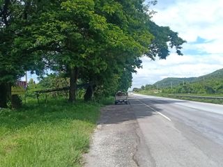 For sale land in Phrom Phiram, Phitsanulok
