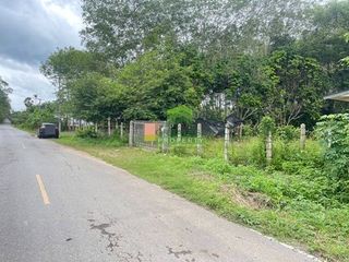 For sale land in Thung Song, Nakhon Si Thammarat