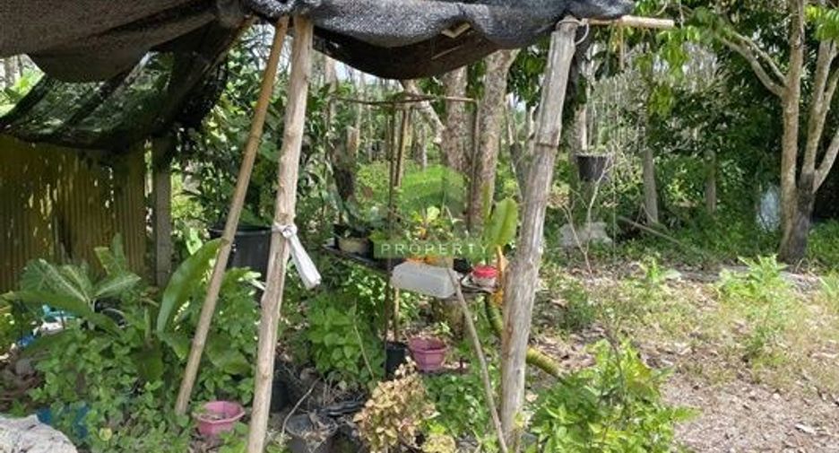 出售 土地 在 Thung Song, Nakhon Si Thammarat