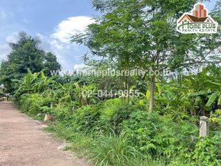For sale land in That Phanom, Nakhon Phanom