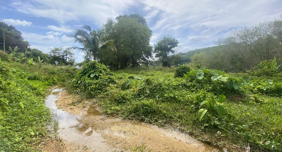 À vendre terrain à Mueang Phuket, Phuket