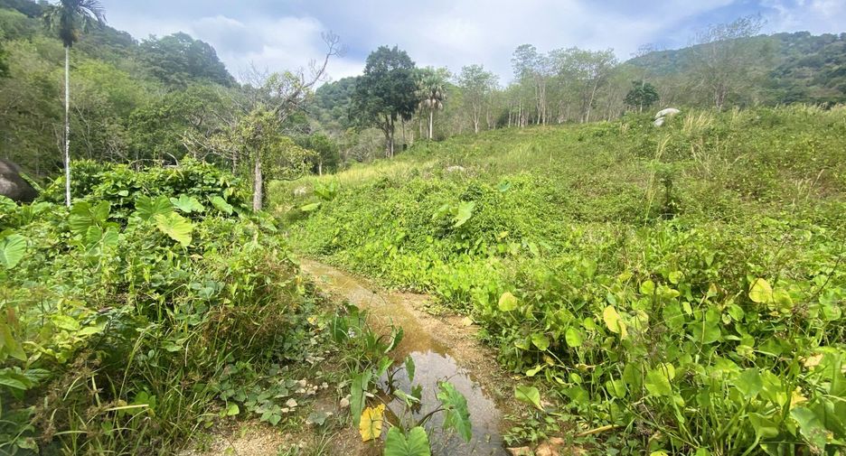 À vendre terrain à Mueang Phuket, Phuket