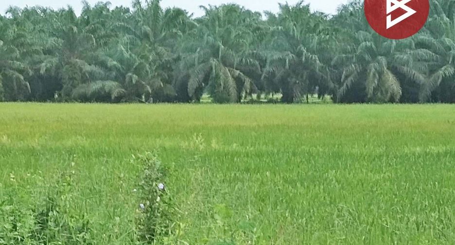 For sale land in Ranot, Songkhla