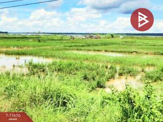 For sale land in Bueng Khong Long, Bueng Kan