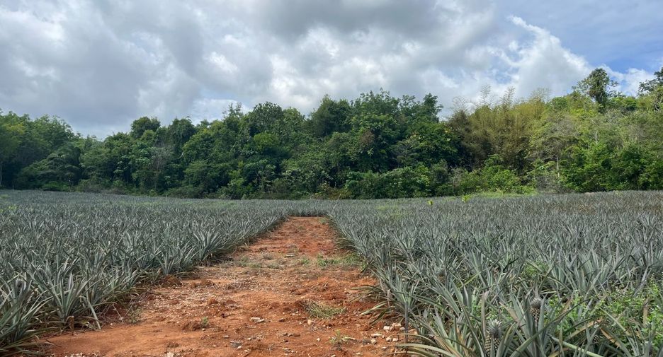 For sale land in Takua Thung, Phang Nga