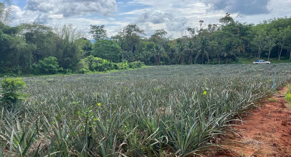 For sale land in Takua Thung, Phang Nga