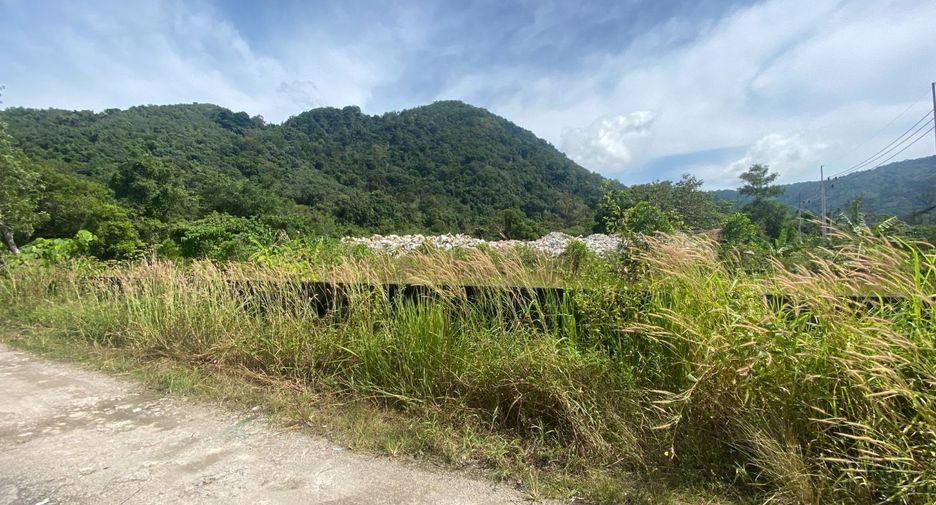 For sale land in Kathu, Phuket