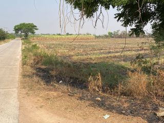 For sale land in Sung Noen, Nakhon Ratchasima