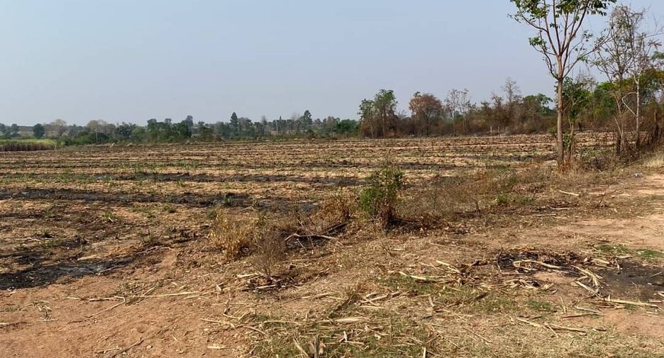 À vendre terrain à Sung Noen, Nakhon Ratchasima