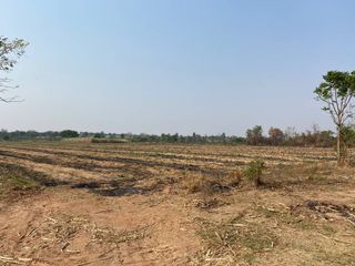 For sale land in Sung Noen, Nakhon Ratchasima