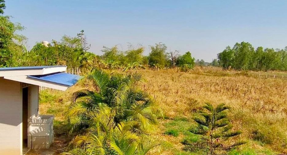 For sale land in Chatturat, Chaiyaphum