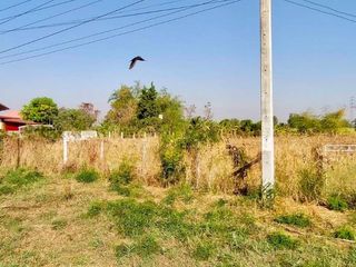 For sale land in Chatturat, Chaiyaphum
