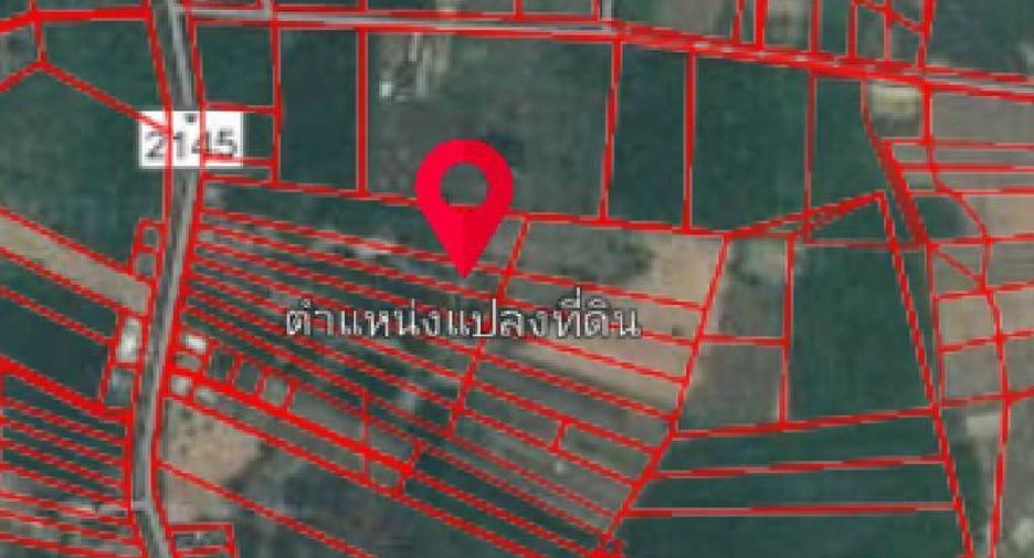 For sale land in Seka, Bueng Kan