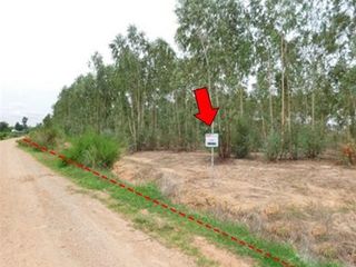 For sale land in Mueang Chaiyaphum, Chaiyaphum