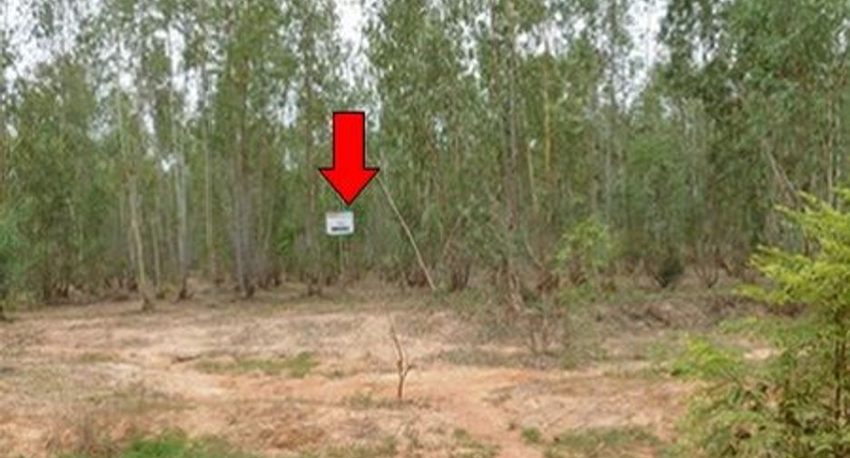 For sale land in Mueang Chaiyaphum, Chaiyaphum