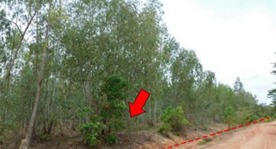 For sale land in Mueang Chaiyaphum, Chaiyaphum