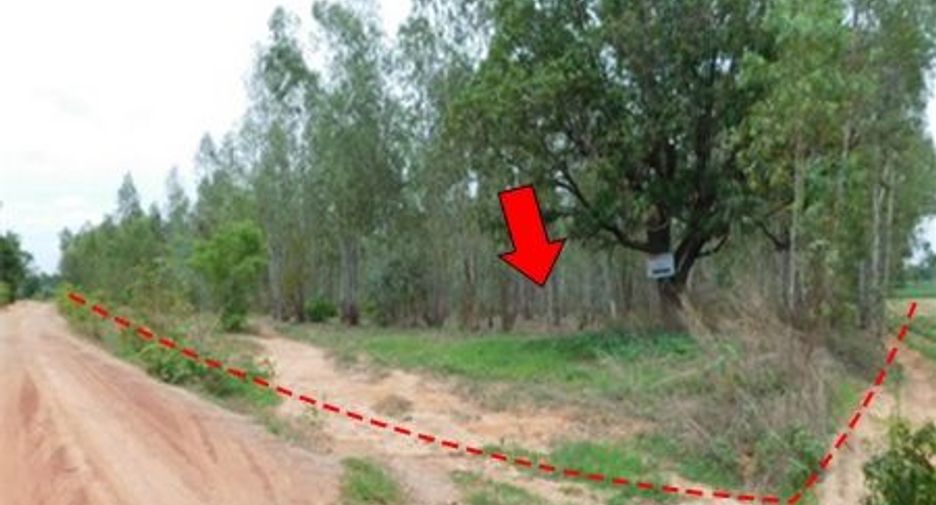 For sale land in Mueang Chaiyaphum, Chaiyaphum