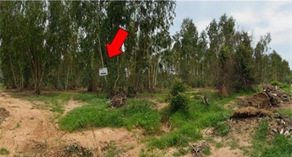 For sale land in Mueang Chaiyaphum, Chaiyaphum