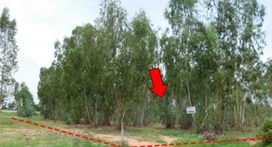 For sale land in Mueang Chaiyaphum, Chaiyaphum