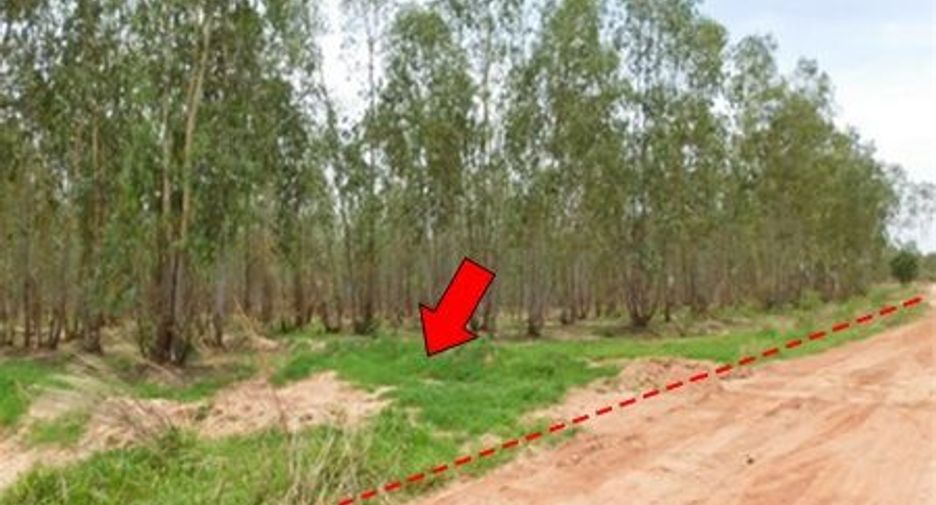 For sale land in Mueang Chaiyaphum, Chaiyaphum