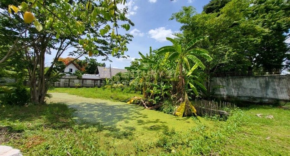 For sale land in Bang Khae, Bangkok