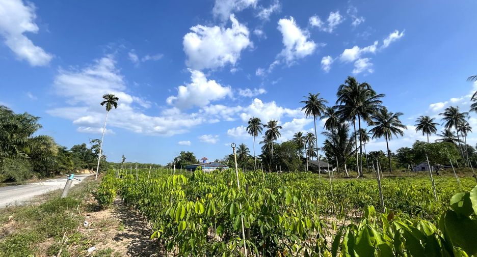 For sale land in Takua Thung, Phang Nga