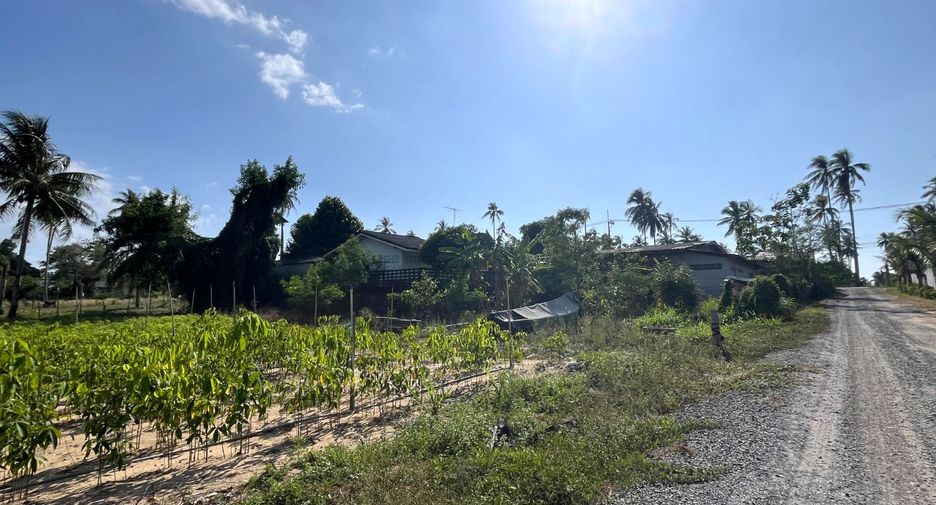 For sale land in Takua Thung, Phang Nga