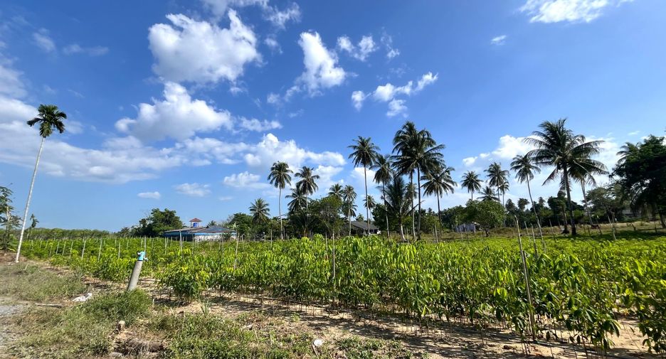 For sale land in Takua Thung, Phang Nga