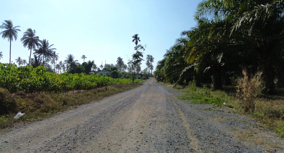 For sale land in Takua Thung, Phang Nga