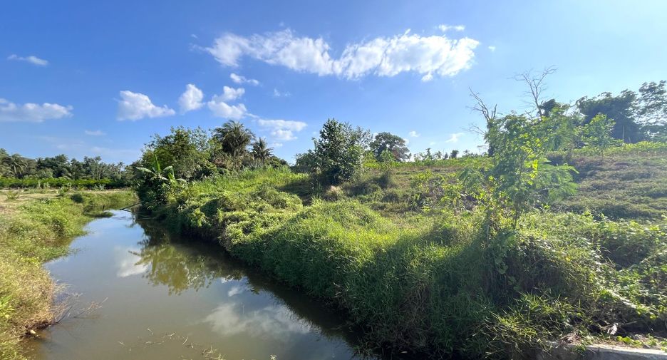 For sale land in Takua Thung, Phang Nga