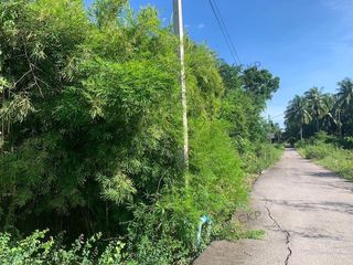 For sale land in Pak Tho, Ratchaburi