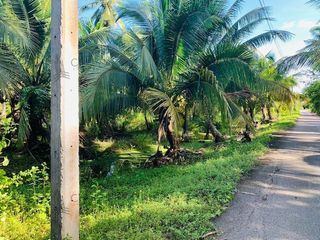 For sale land in Pak Tho, Ratchaburi