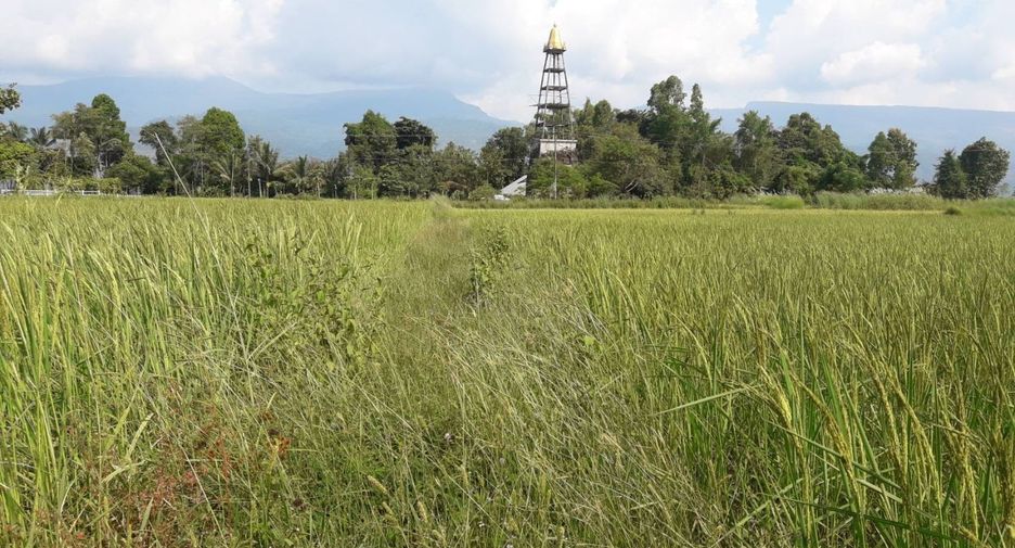 出售 土地 在 Mueang Bueng Kan, Bueng Kan