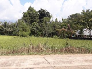 For sale land in Mueang Bung Kan, Bueng Kan