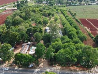 For sale land in Pak Chong, Nakhon Ratchasima